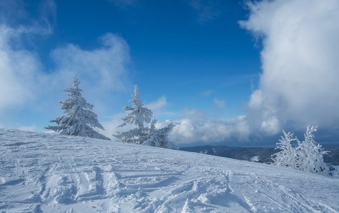 Station Les Habères - Bulletin D'enneigement